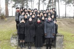 18. novembra gājiens 2011